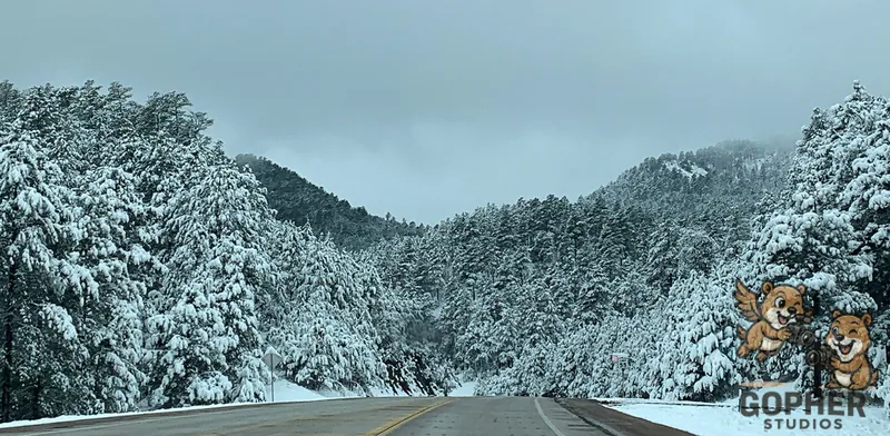A road curves through a forest of snow-covered evergreen trees beneath a blue-gray sky.